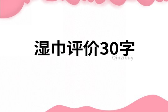 湿巾评价30字