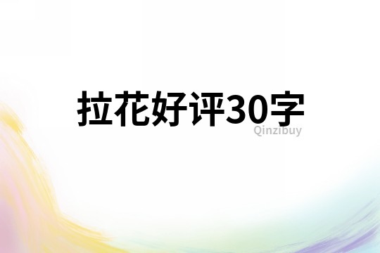 拉花好评30字