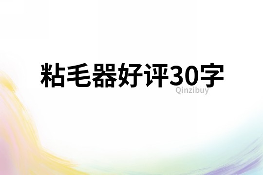 粘毛器好评30字