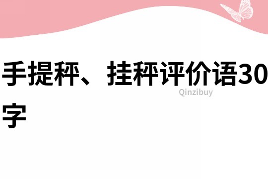 手提秤、挂秤评价语30字