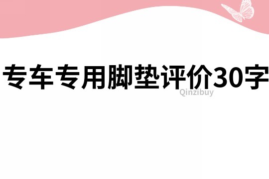 专车专用脚垫评价30字