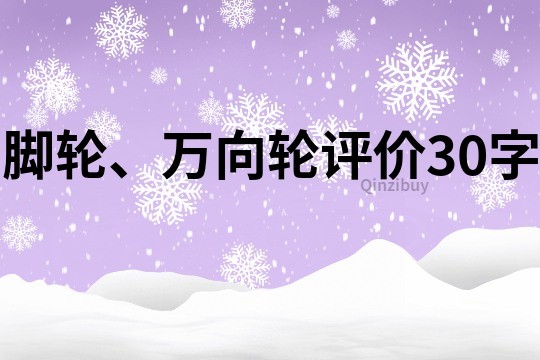 脚轮、万向轮评价30字