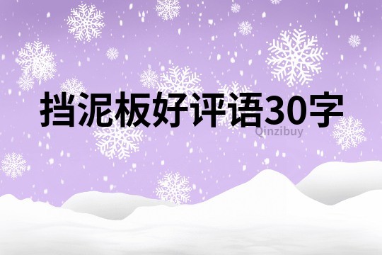 挡泥板好评语30字