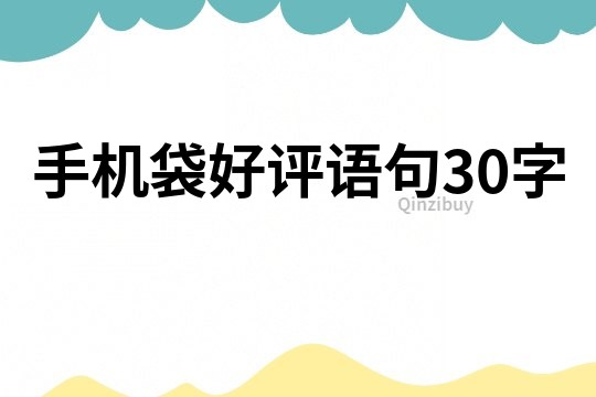 手机袋好评语句30字