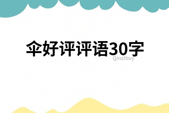 伞好评评语30字