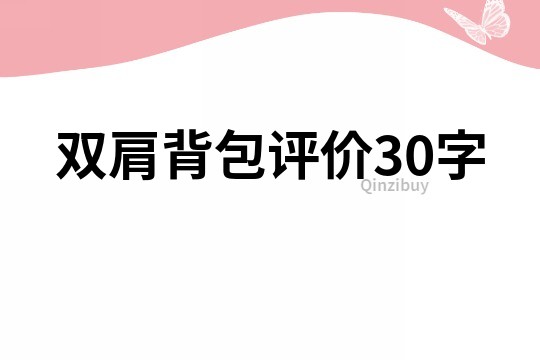 双肩背包评价30字