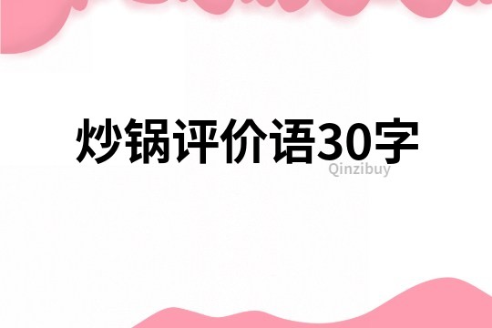 炒锅评价语30字