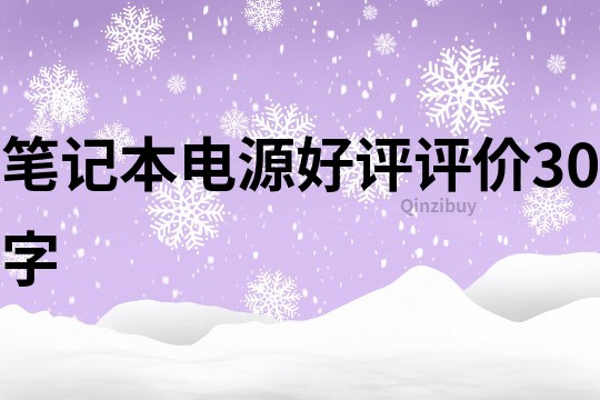 笔记本电源好评评价30字