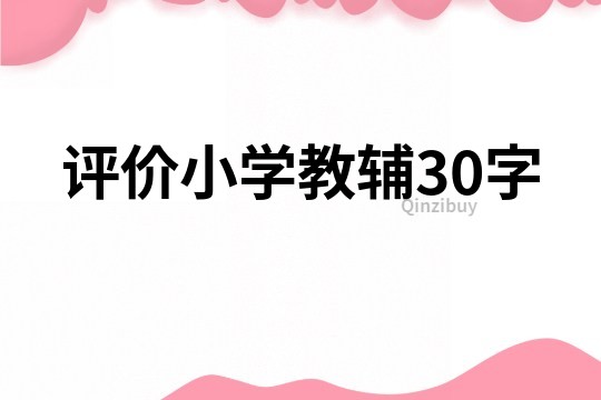 评价小学教辅30字