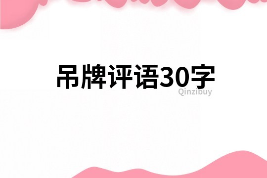 吊牌评语30字