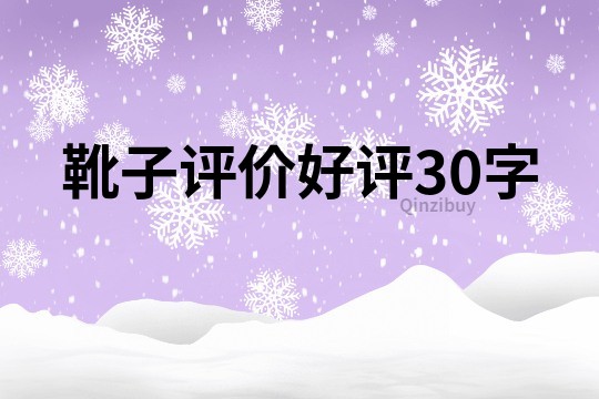 靴子评价好评30字