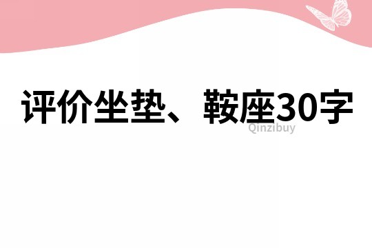 评价坐垫、鞍座30字