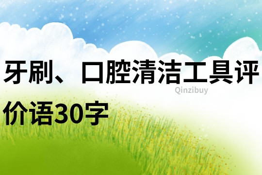 牙刷、口腔清洁工具评价语30字