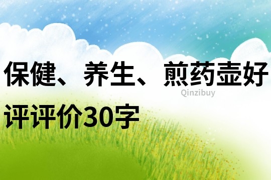 保健、养生、煎药壶好评评价30字