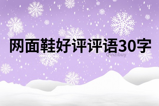 网面鞋好评评语30字