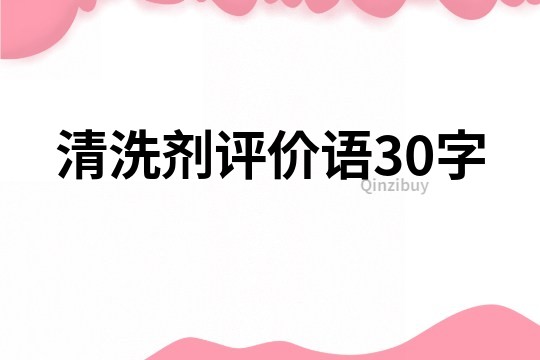 清洗剂评价语30字