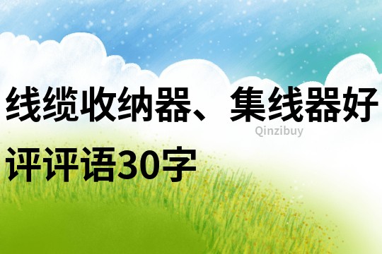 线缆收纳器、集线器好评评语30字