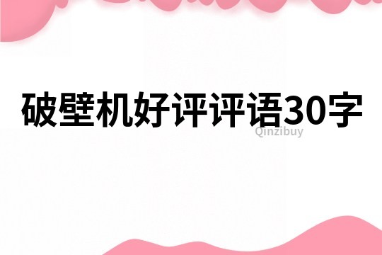 破壁机好评评语30字