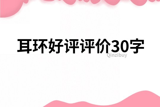 耳环好评评价30字