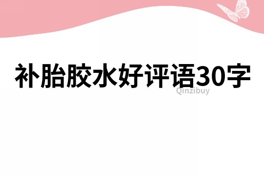 补胎胶水好评语30字