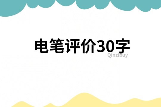 电笔评价30字