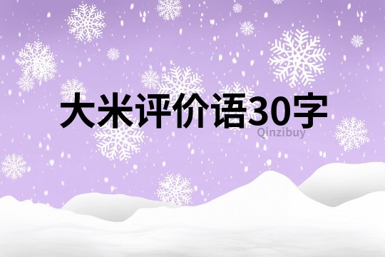 大米评价语30字