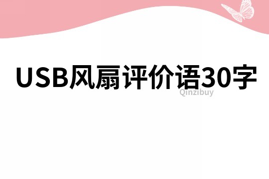 USB风扇评价语30字