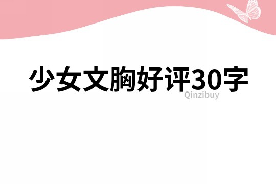 少女文胸好评30字