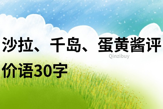 沙拉、千岛、蛋黄酱评价语30字