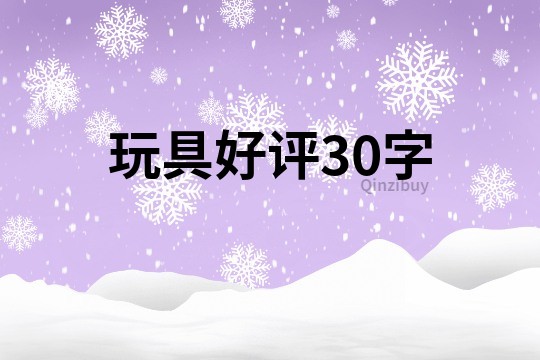 玩具好评30字