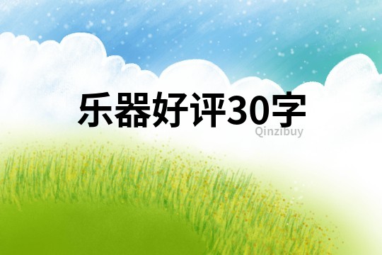 乐器好评30字