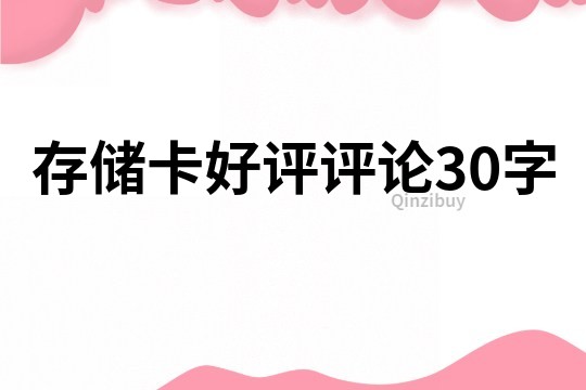 存储卡好评评论30字