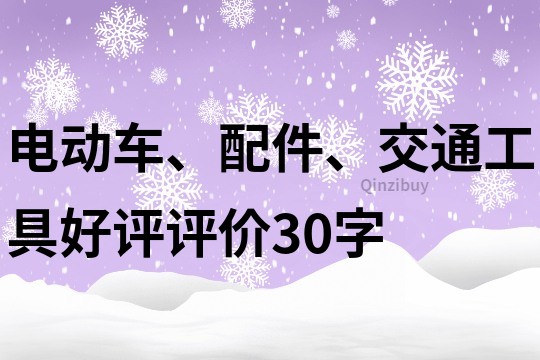 电动车、配件、交通工具好评评价30字