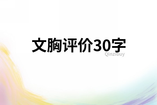 文胸评价30字