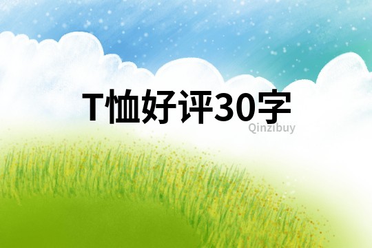 T恤好评30字