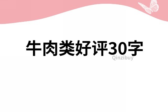 牛肉类好评30字