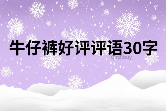 牛仔裤好评评语30字