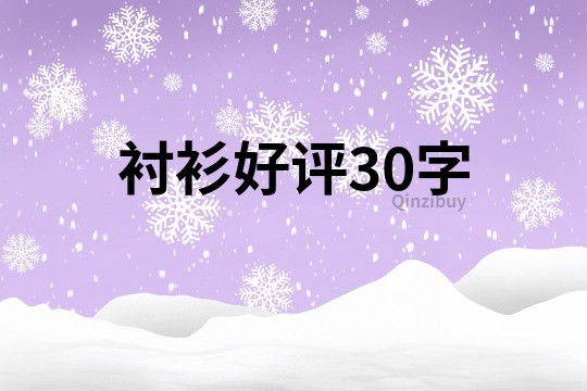 衬衫好评30字