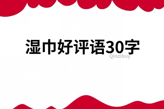 湿巾好评语30字