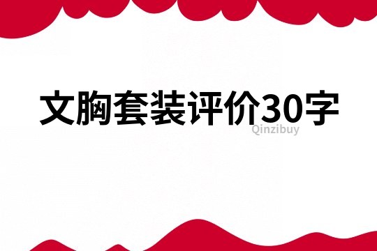 文胸套装评价30字