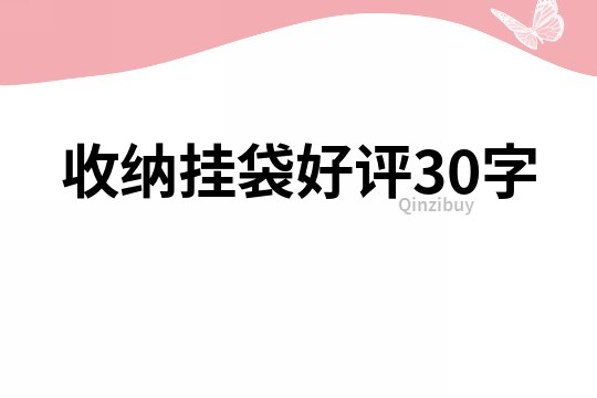 收纳挂袋好评30字