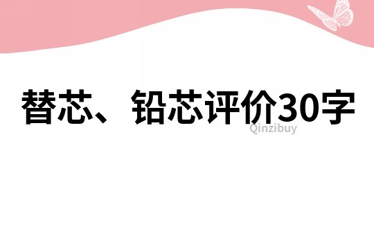 替芯、铅芯评价30字