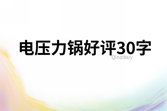 电压力锅好评30字