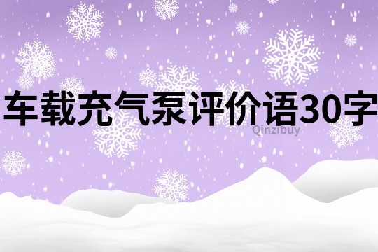 车载充气泵评价语30字