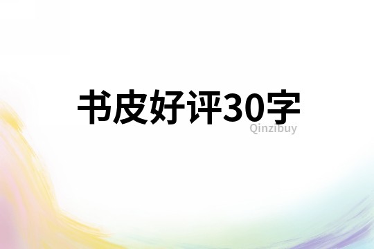 书皮好评30字