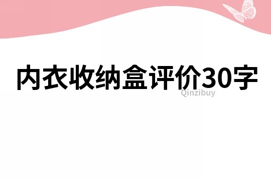 内衣收纳盒评价30字