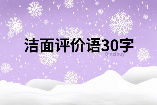 洁面评价语30字