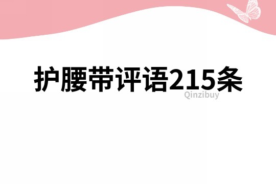 护腰带评语215条