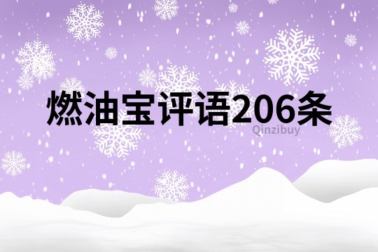 燃油宝评语206条