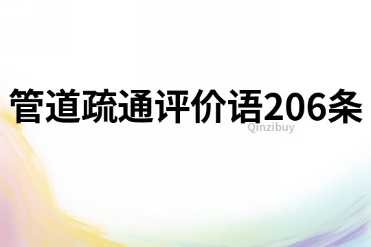 管道疏通评价语206条